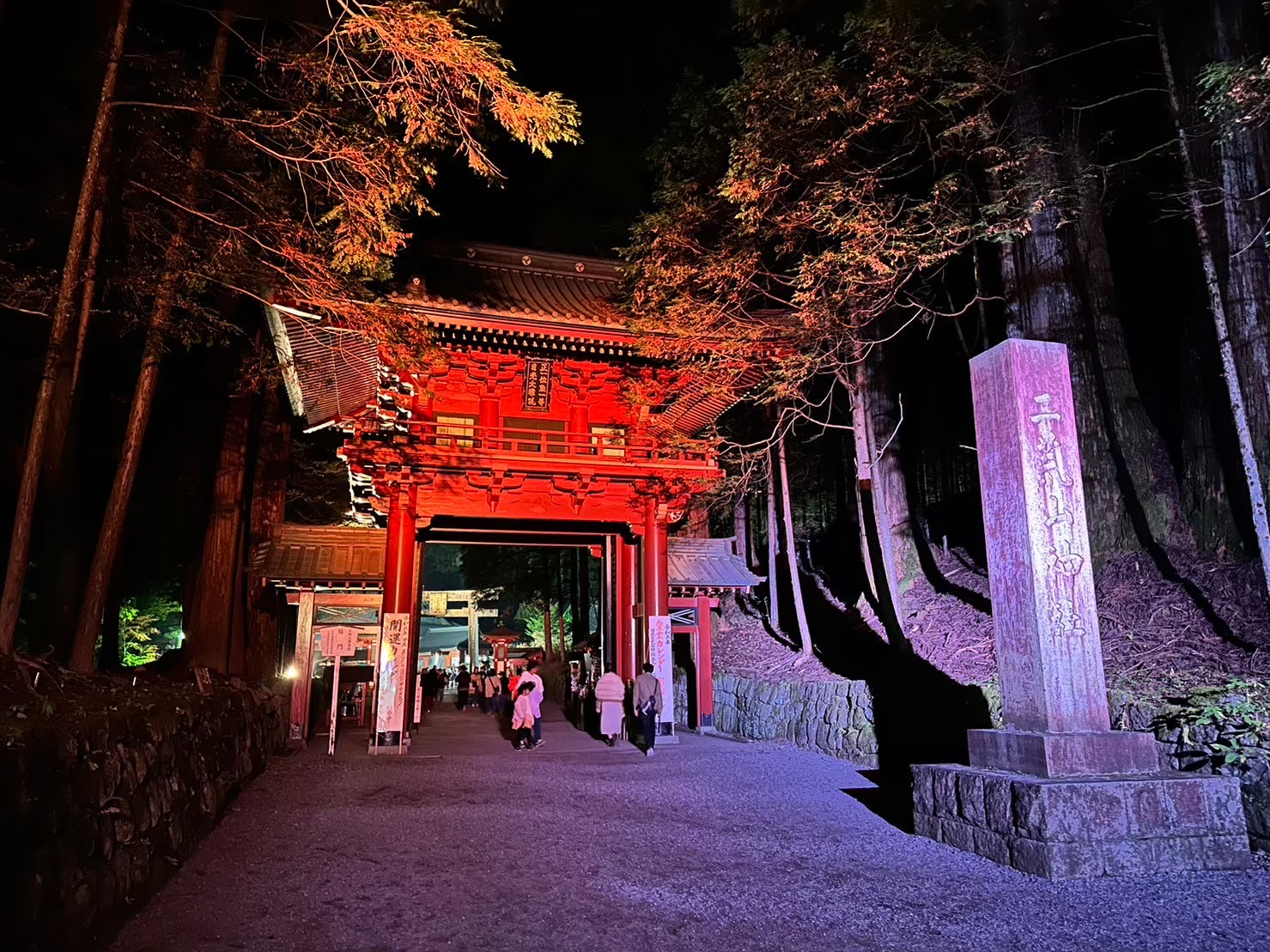 ライトアップ日光2024_二荒山神社