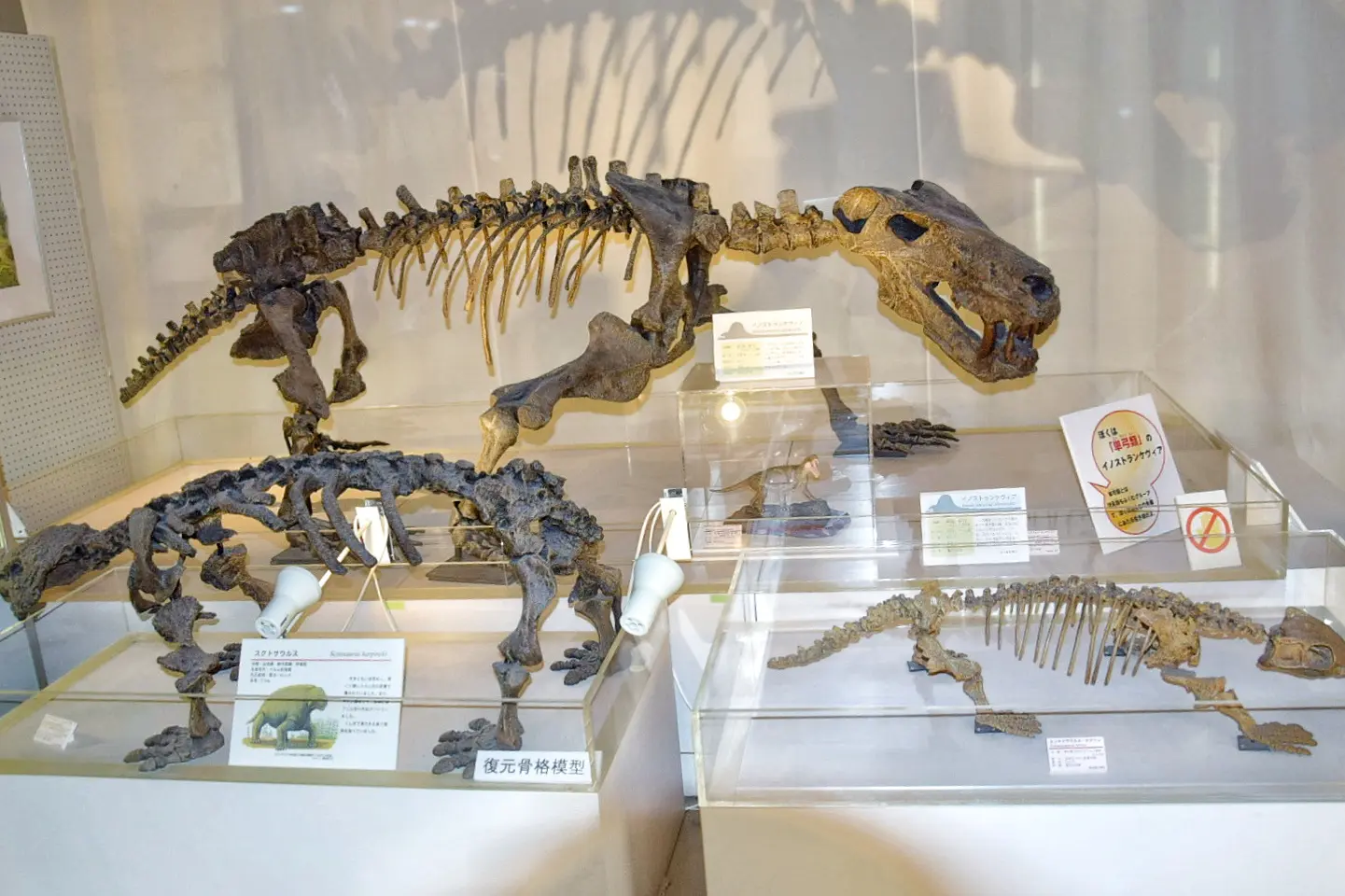 大人も子どもも大興奮！佐野市「葛生化石館」で化石や骨格標本を楽し