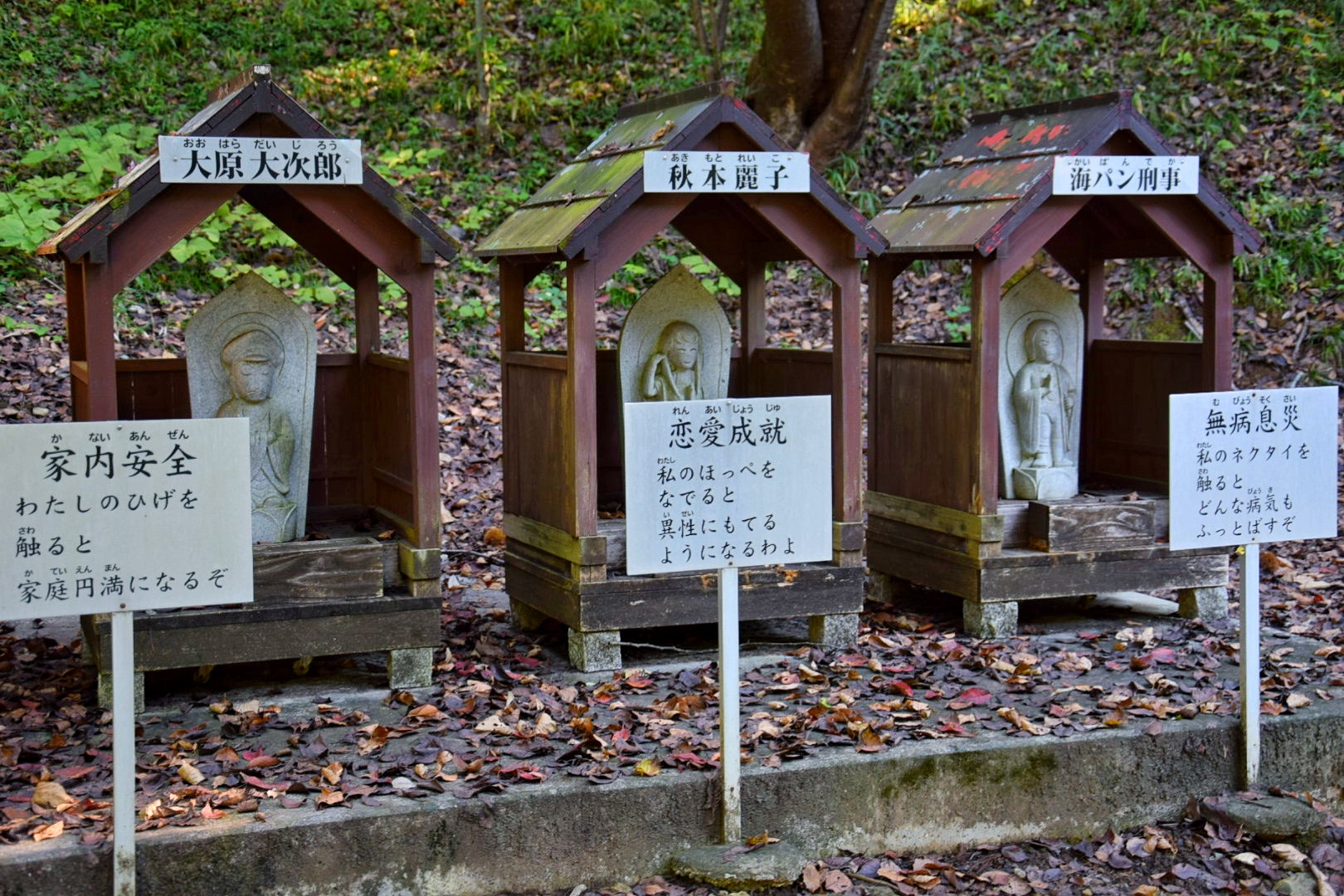 種徳院_大原部長_秋本麗子_海パン刑事