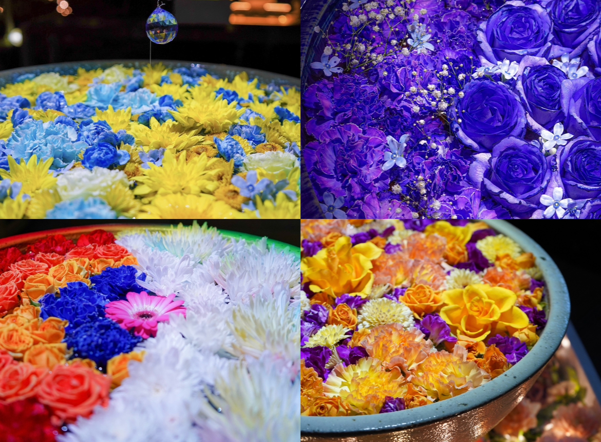 あしかがフラワーパーク_光の花手水