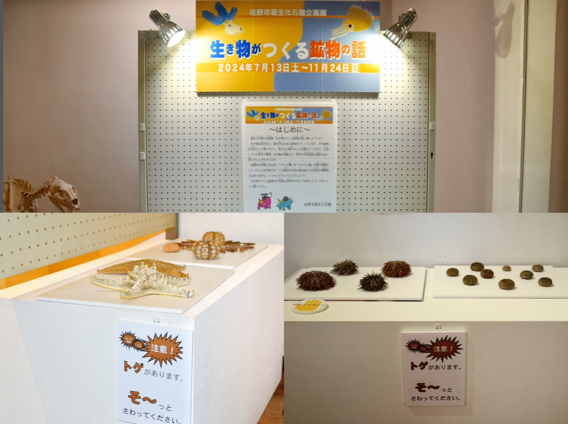 葛生化石館_企画展