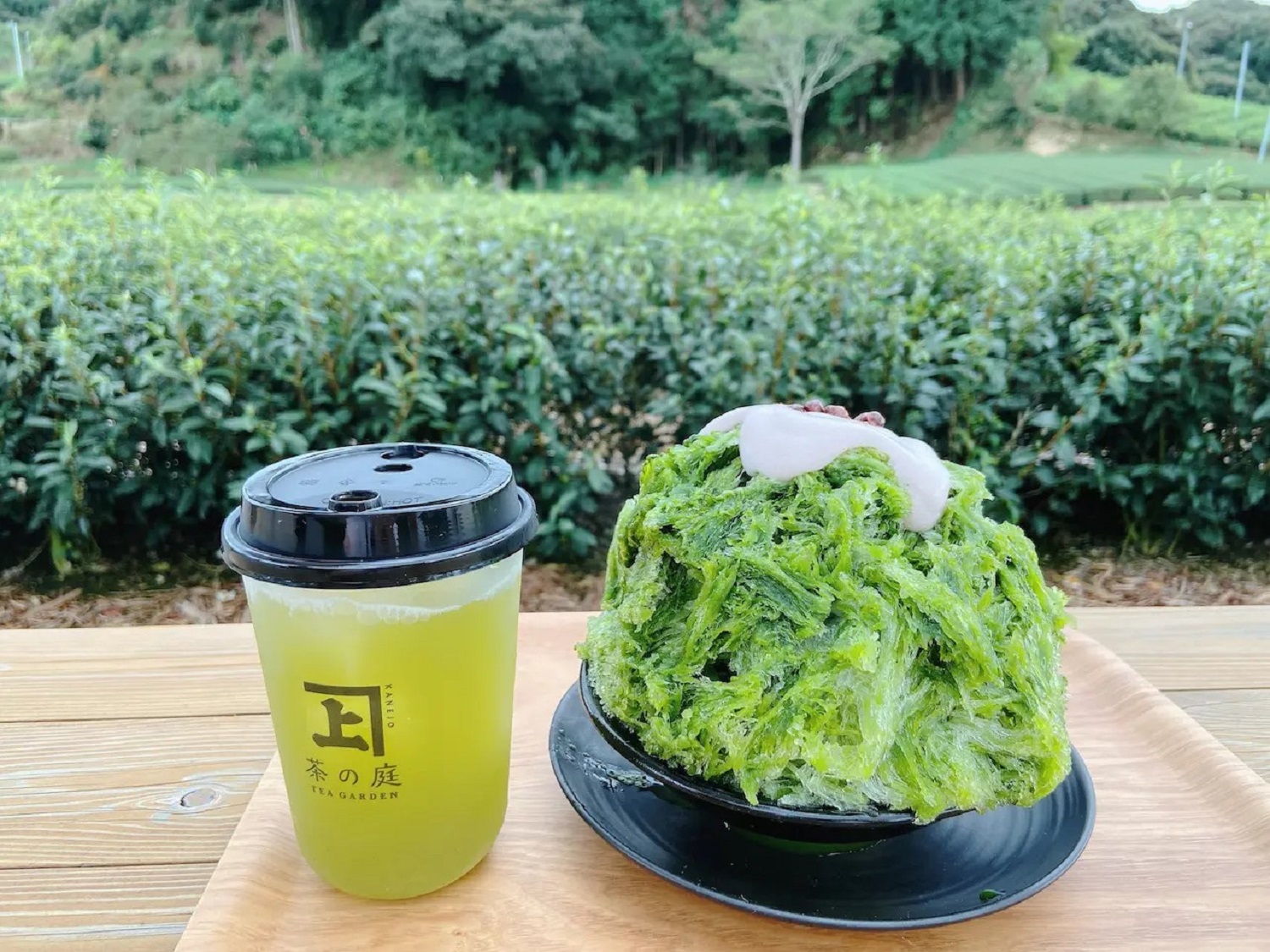 茶の庭