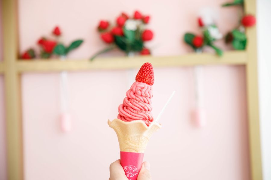 いちごBonBonBERRY ATAMI HOUSE.