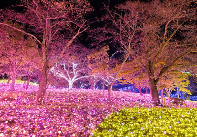 【相模原】関東最大級の光の祭典！「さがみ湖イルミリオン」が開催