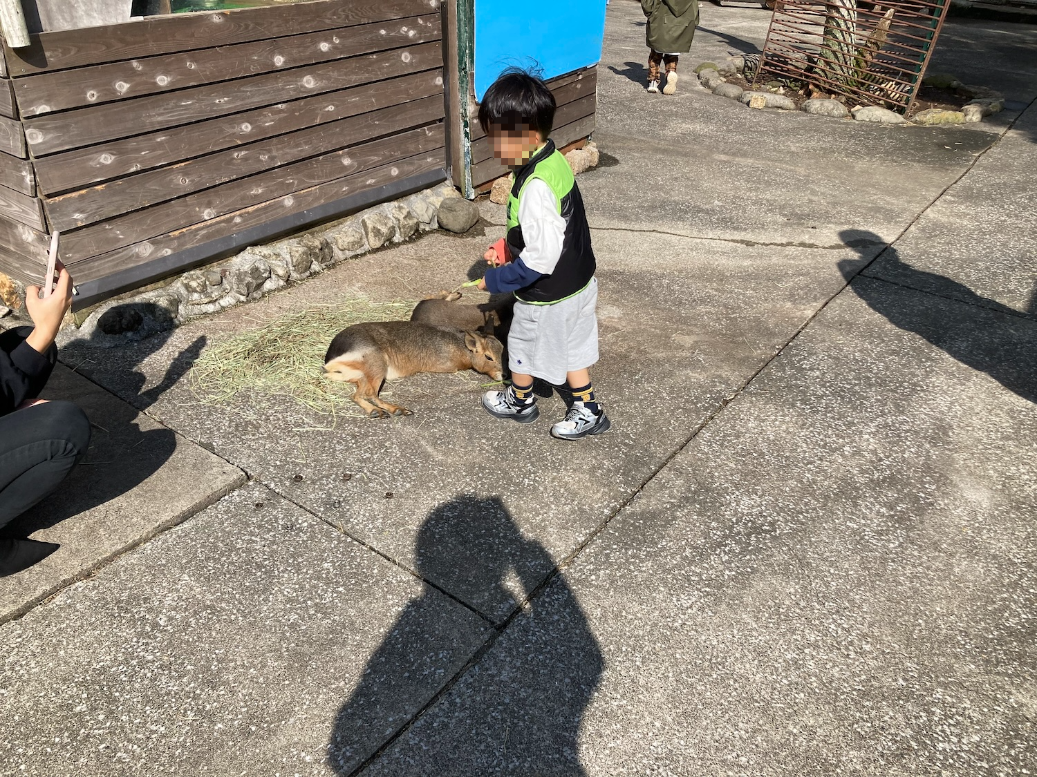 伊豆アニマルキングダム触れ合い