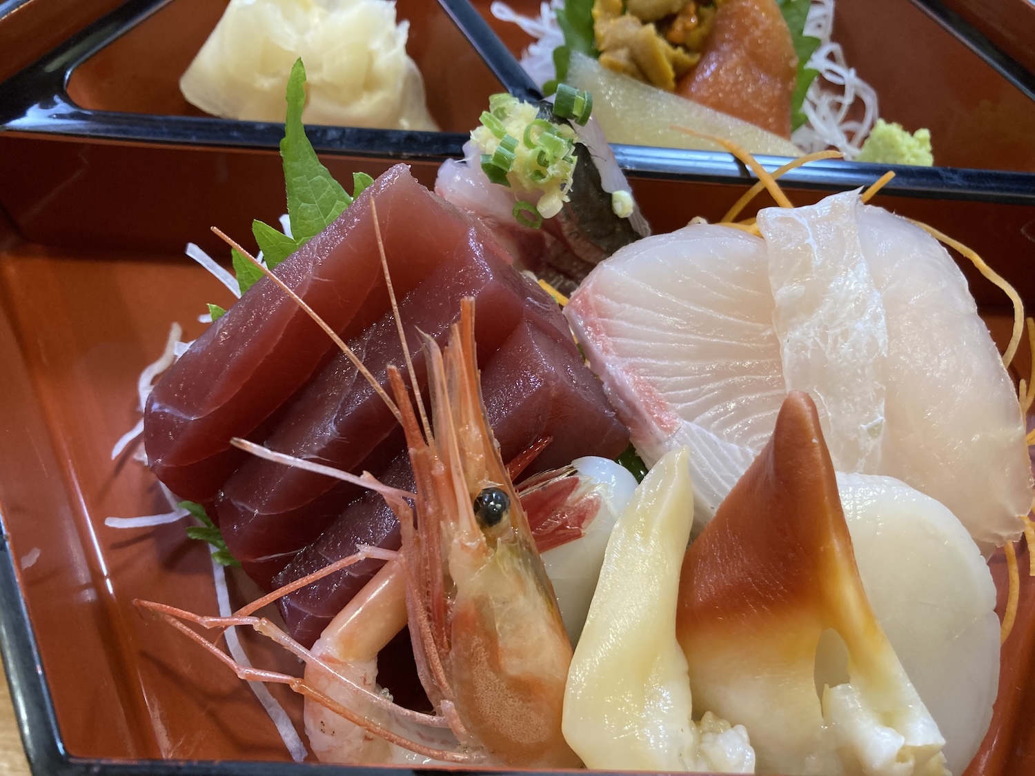 藤すしちらし２
