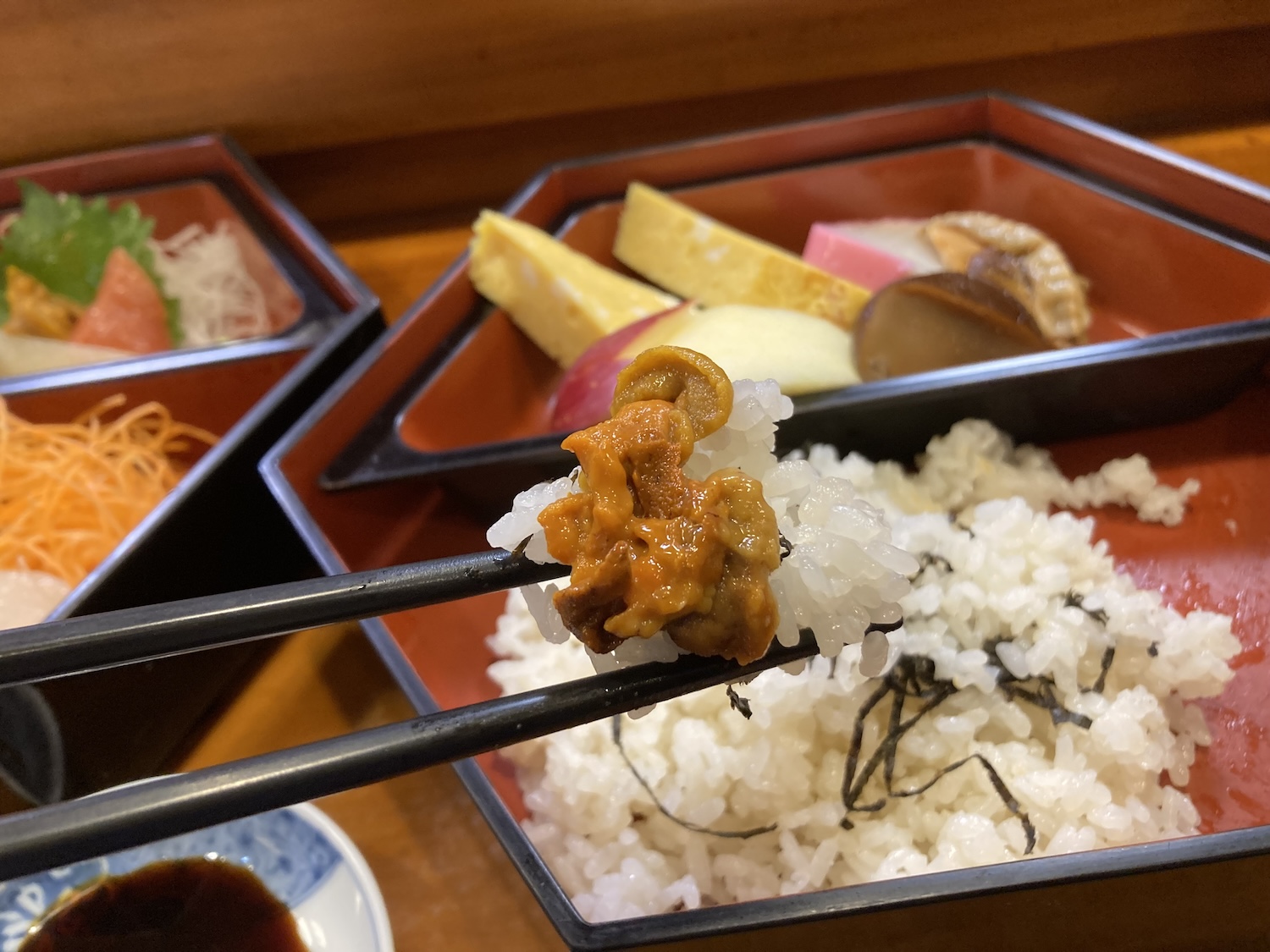 藤すしちらし６