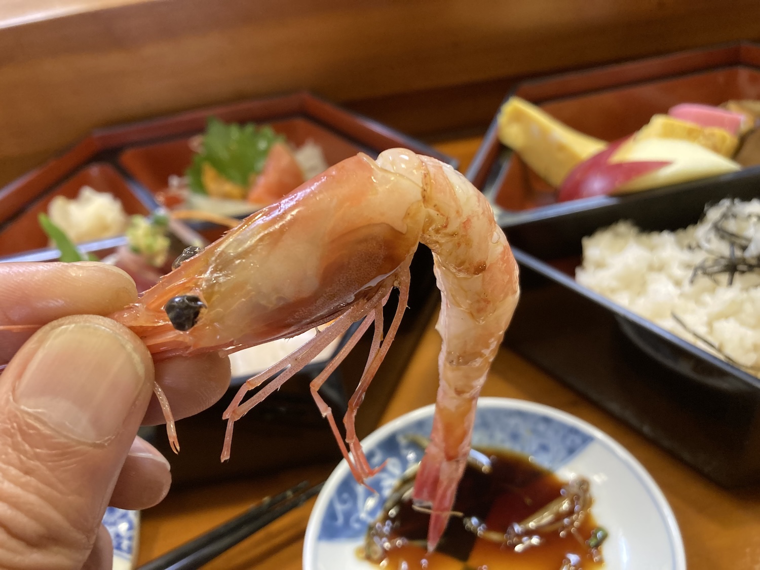 藤すしちらし５