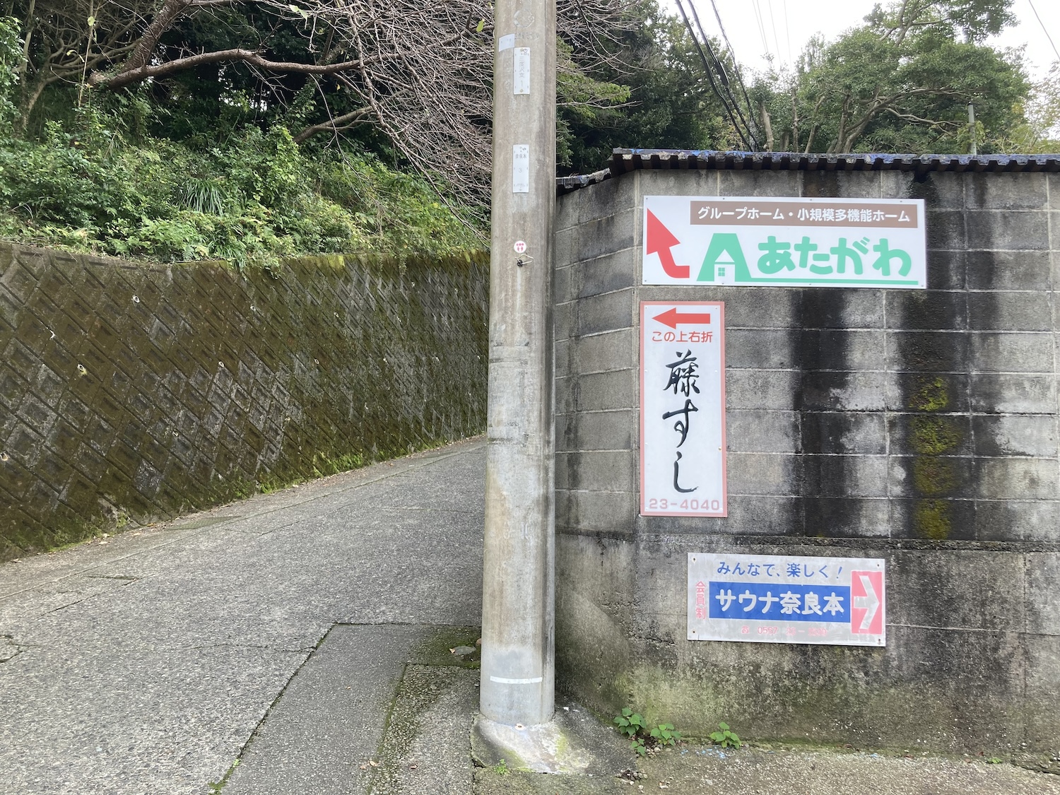 藤すし