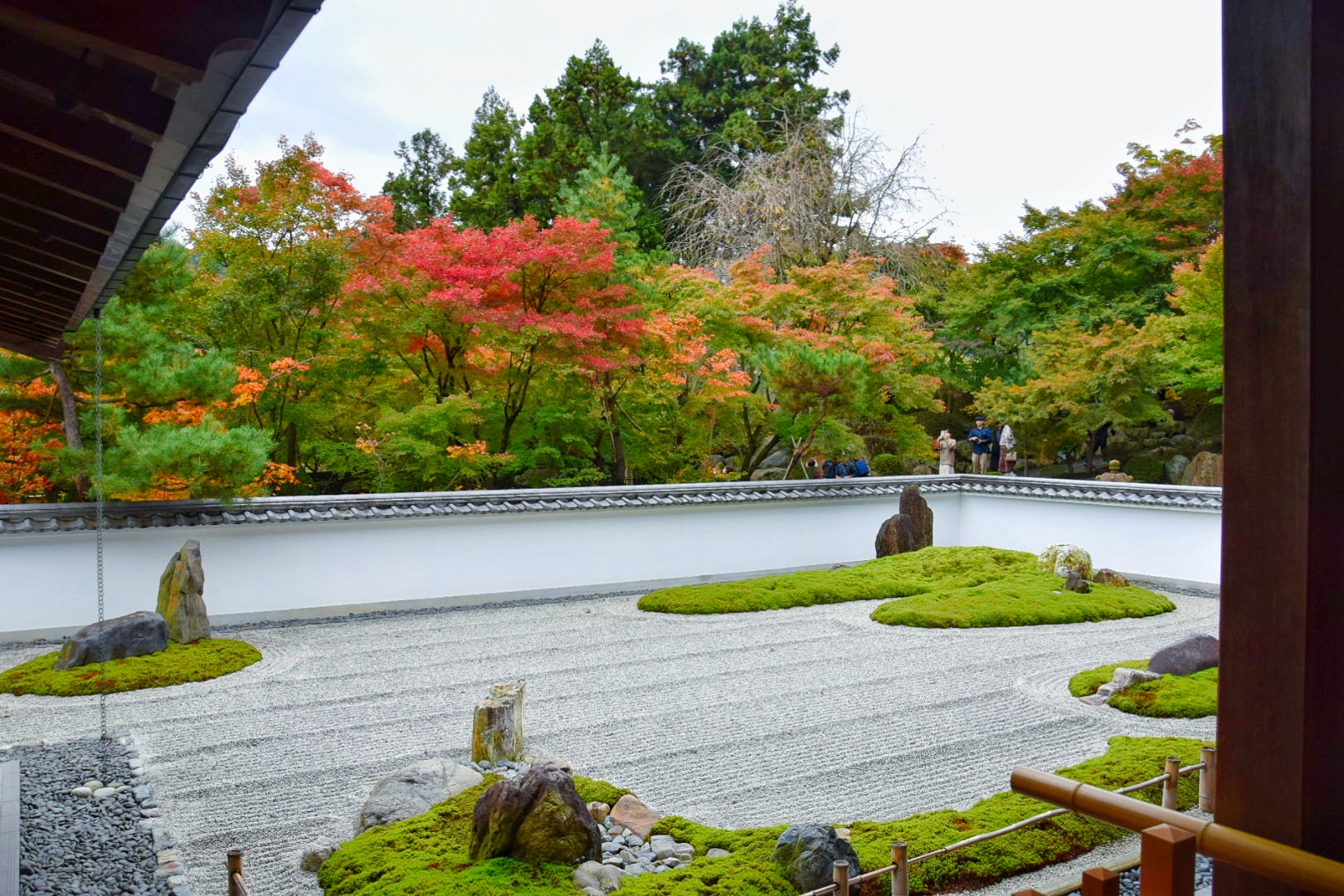 宝徳寺_枯山水（石庭）