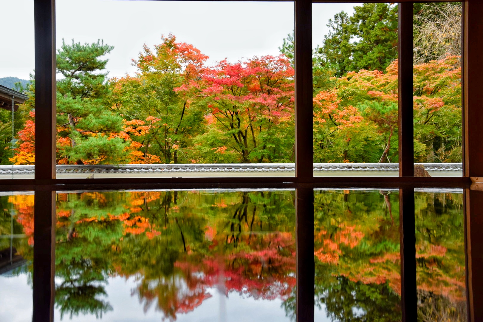 宝徳寺_床もみじ