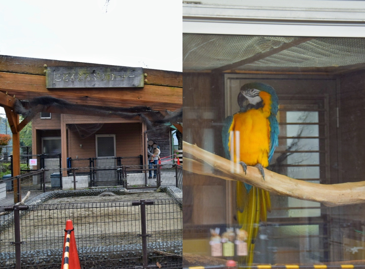 桐生が岡動物園_こどもどうぶつコーナー