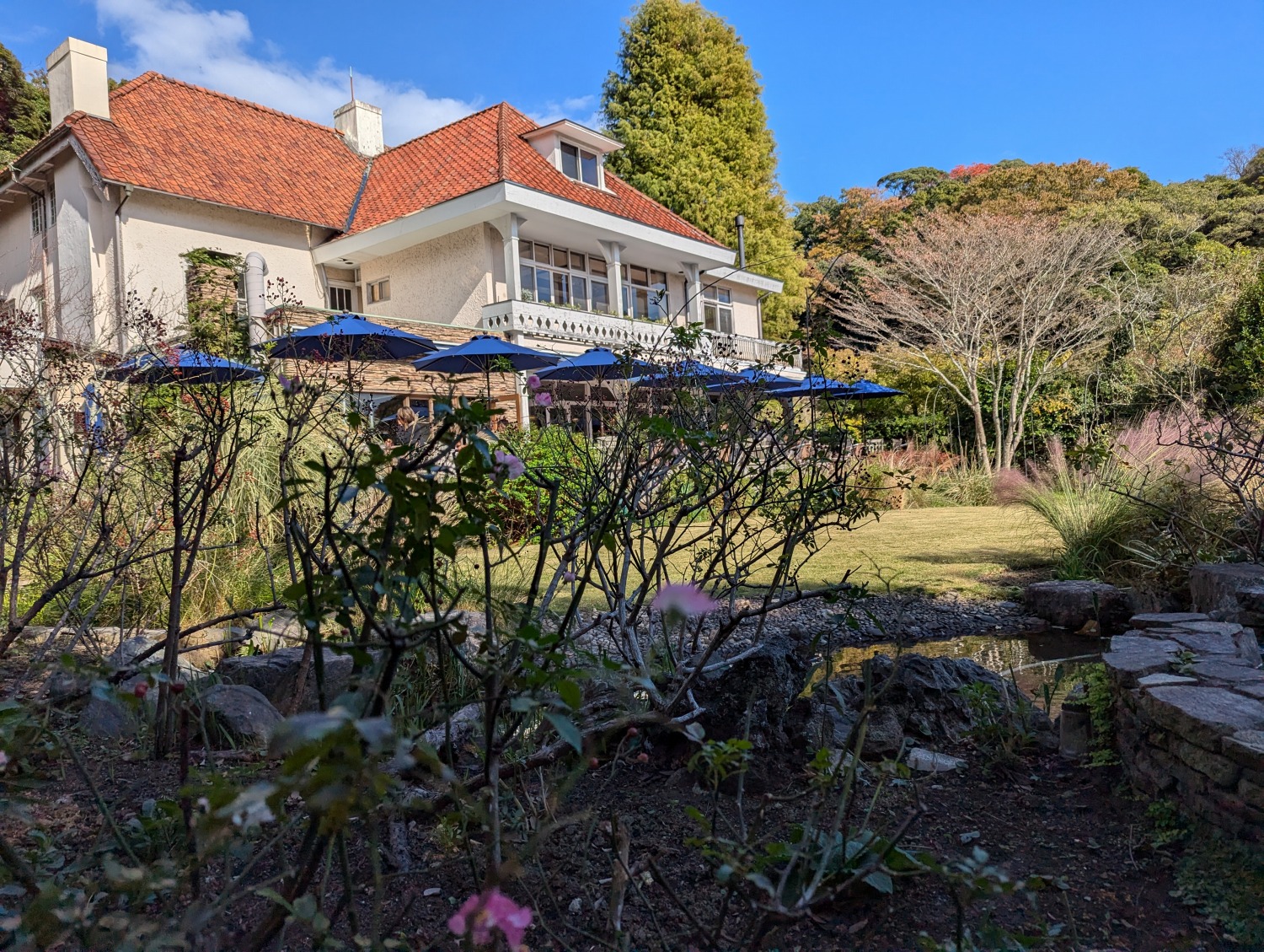 浄妙寺　イングリッシュガーデン