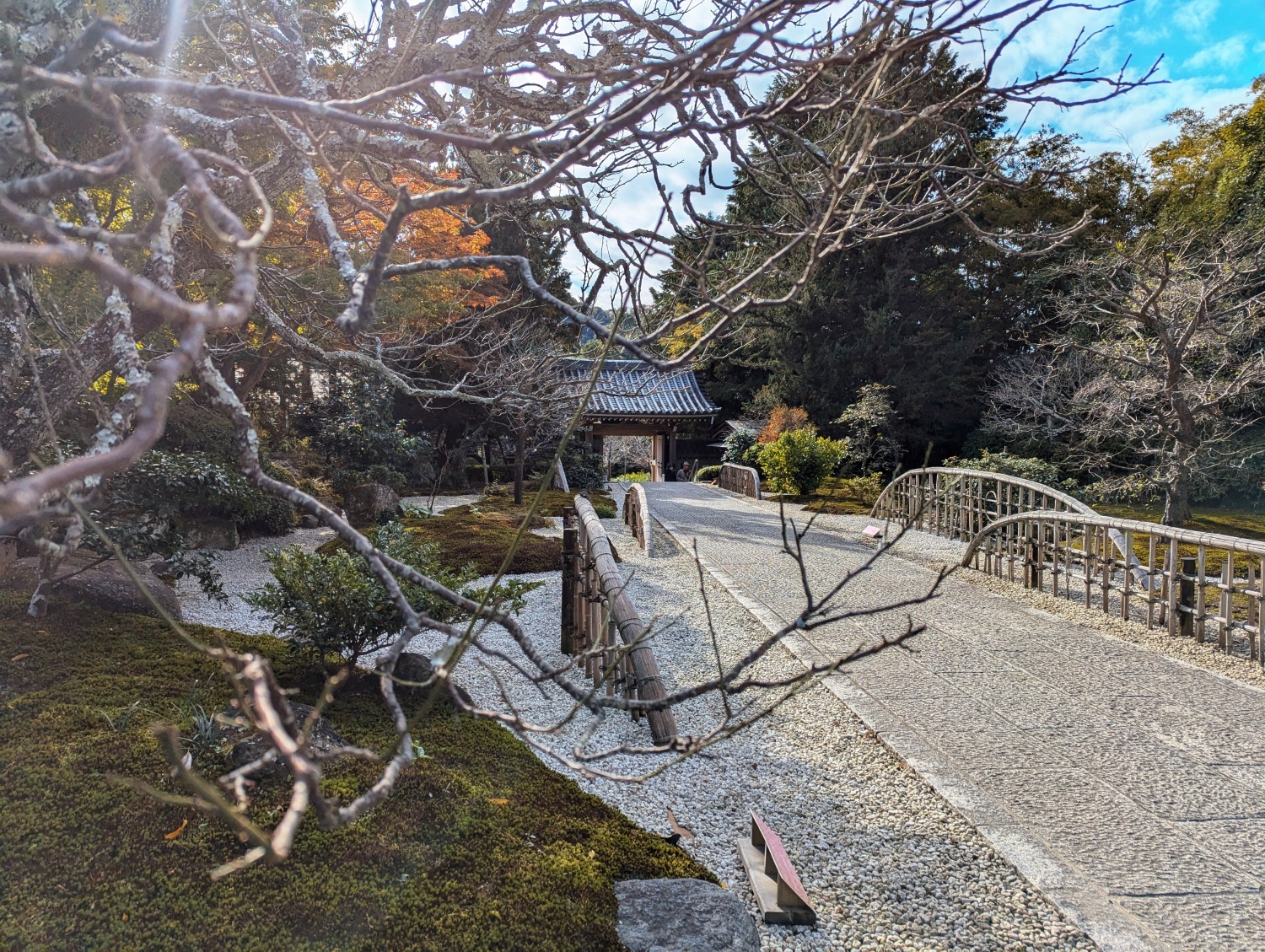 浄妙寺　参道