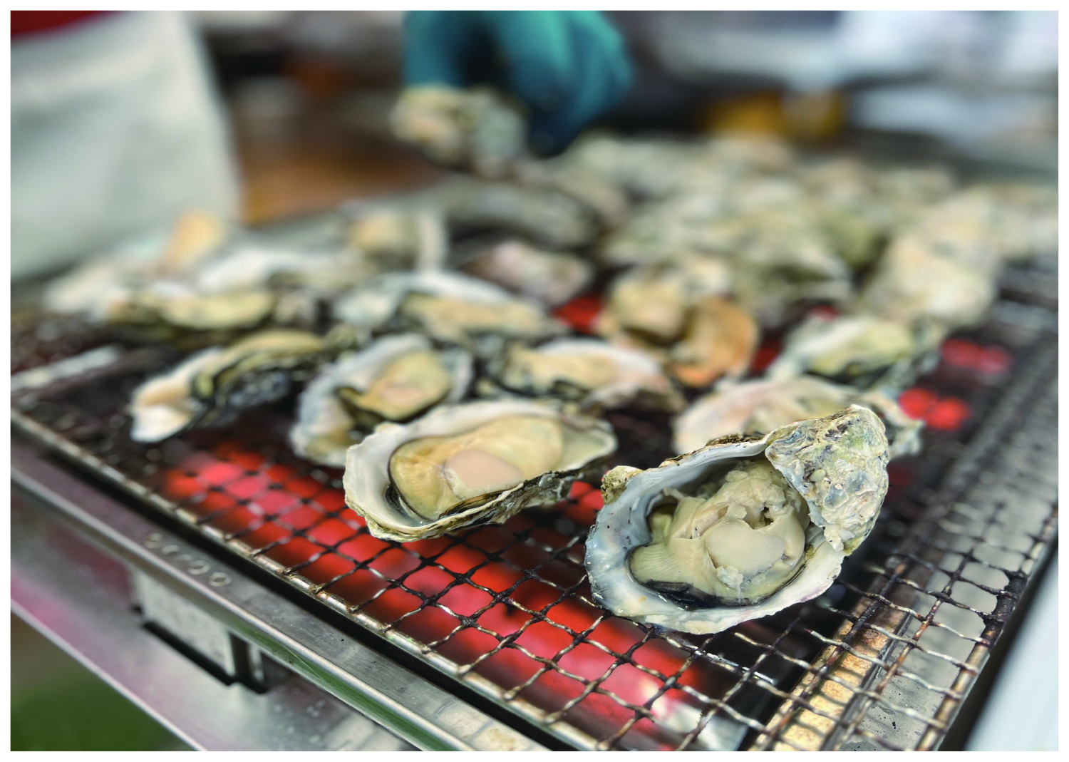 海湖館牡蠣小屋の焼き牡蠣
