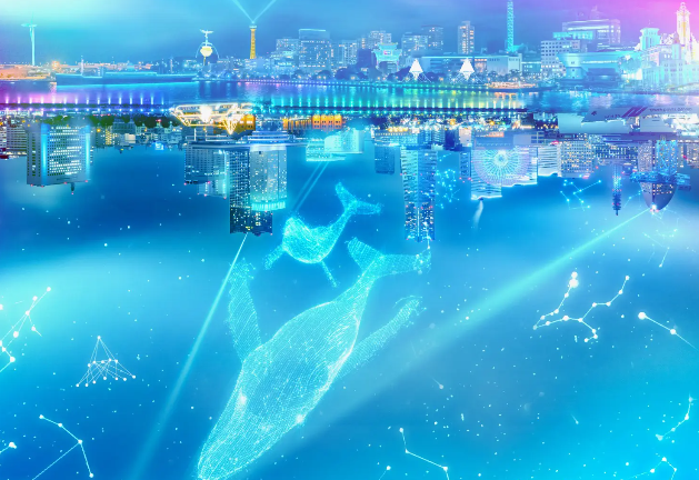 夜の横浜イルミネーション2024-25