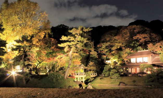 三溪園の紅葉ライトアップ