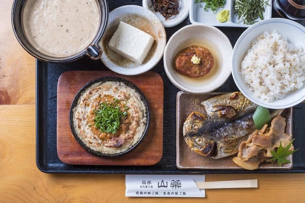 箱根自然薯の森「山薬」