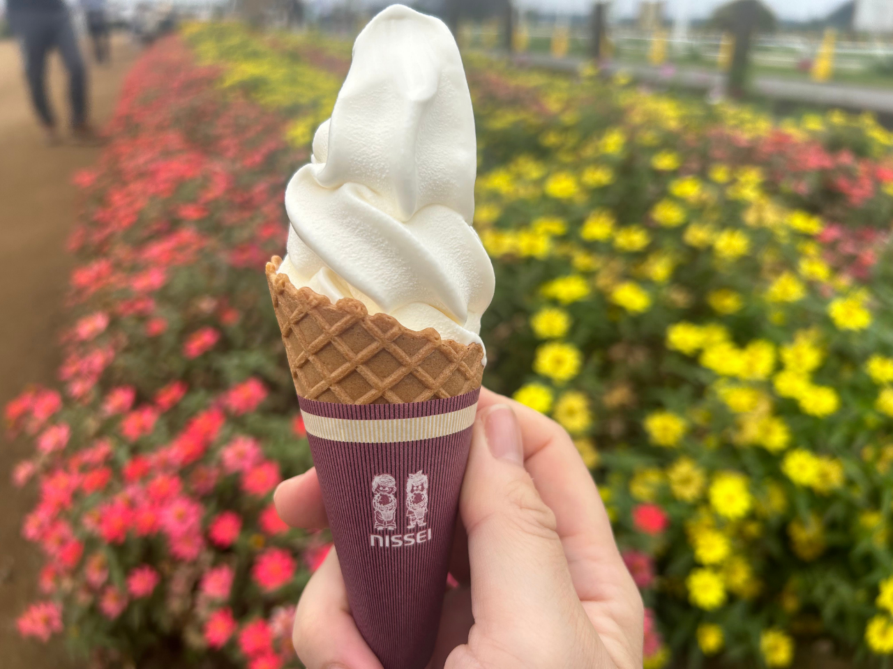 佐倉ふるさと広場の金子牧場のソフトクリーム