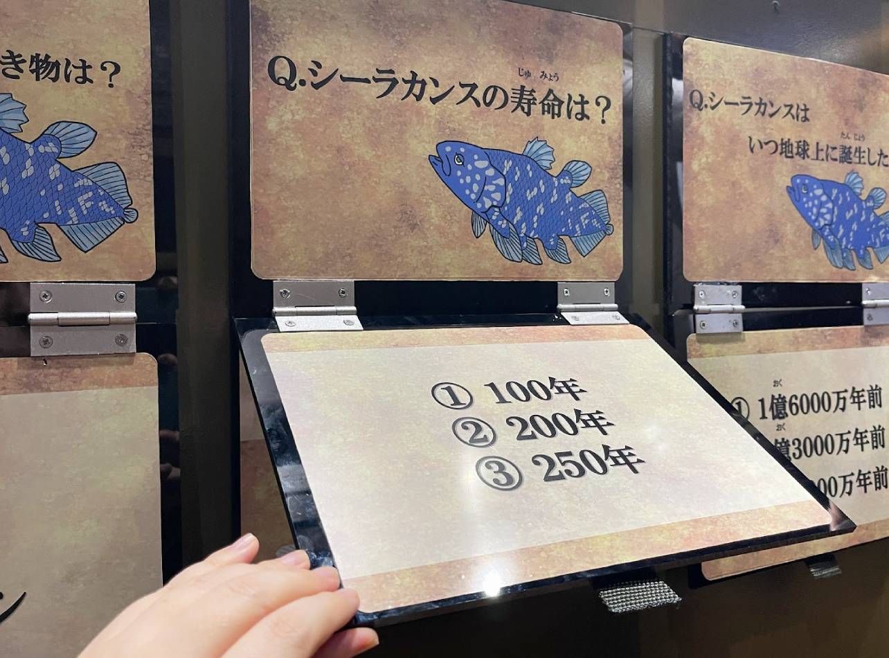 沼津港深海水族館シーラカンスクイズ