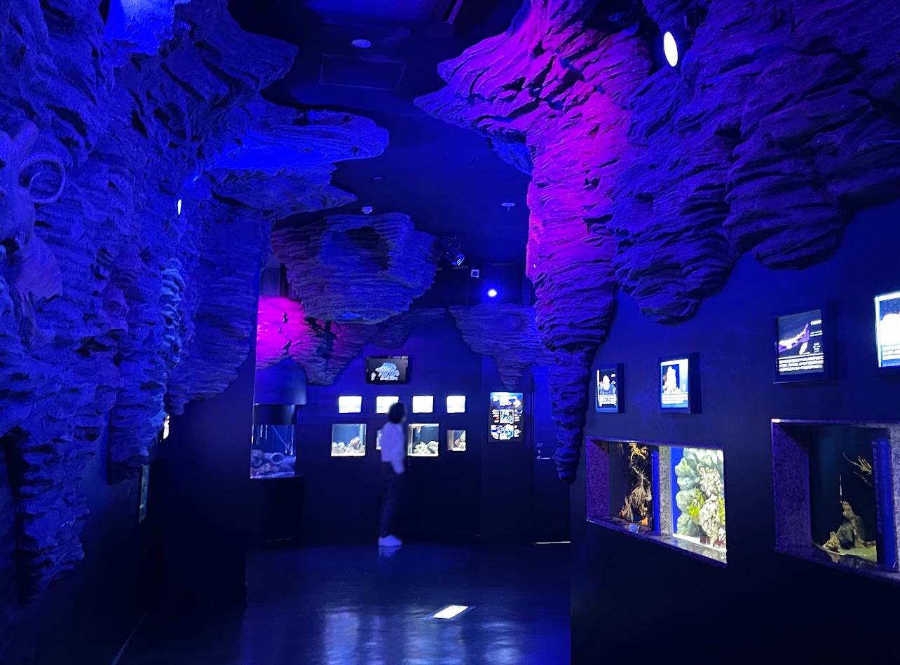 沼津港深海水族館室内