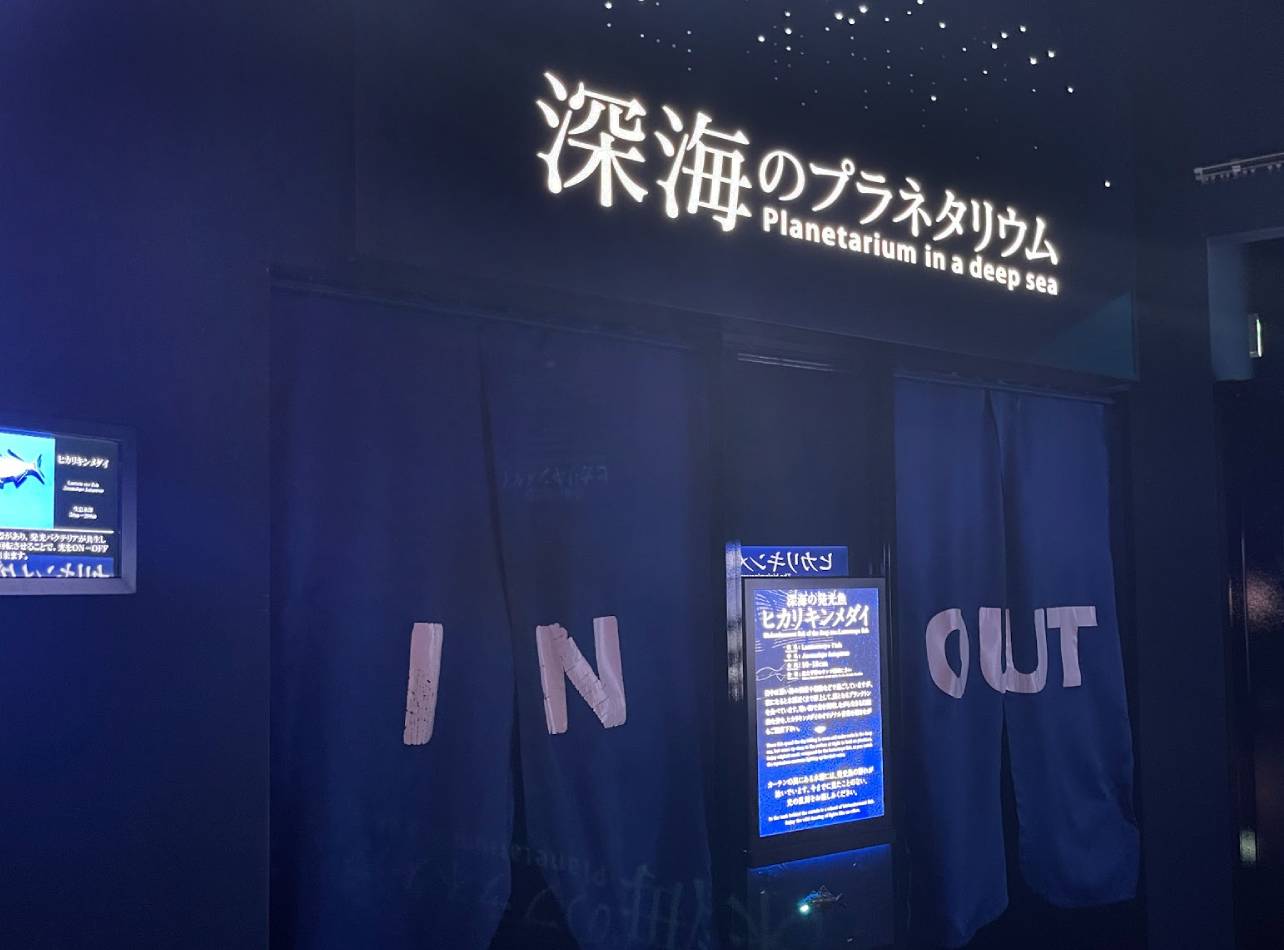 沼津港深海水族館ヒカリキンメダイ