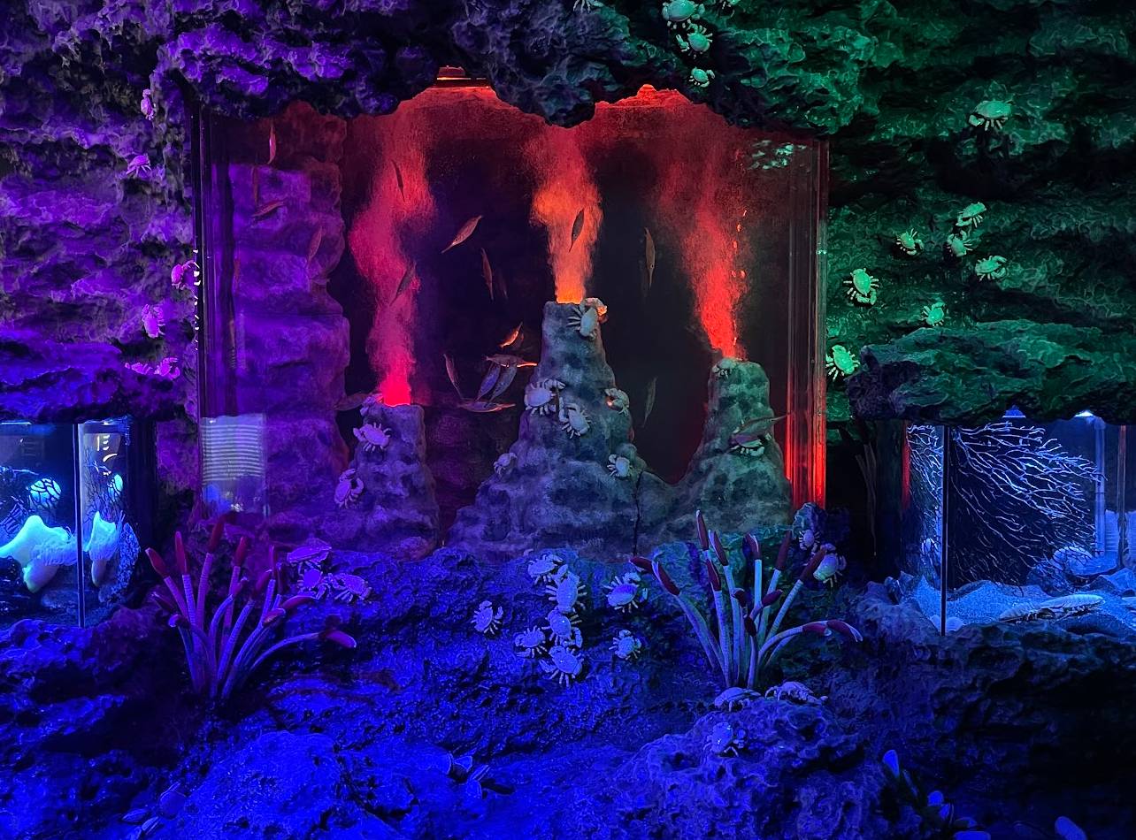 沼津港深海水族館装飾