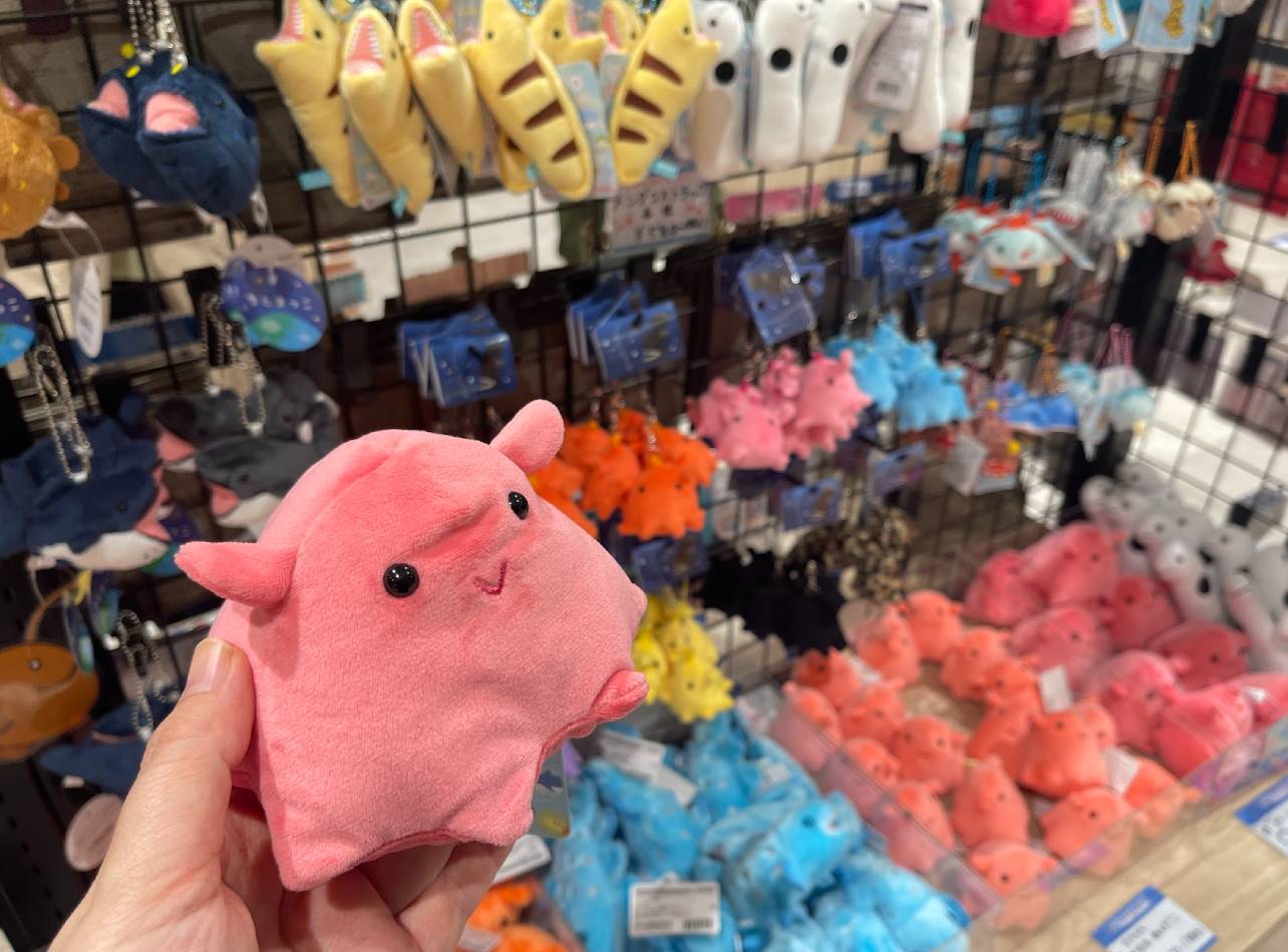 沼津港深海水族館めんだこますこっと