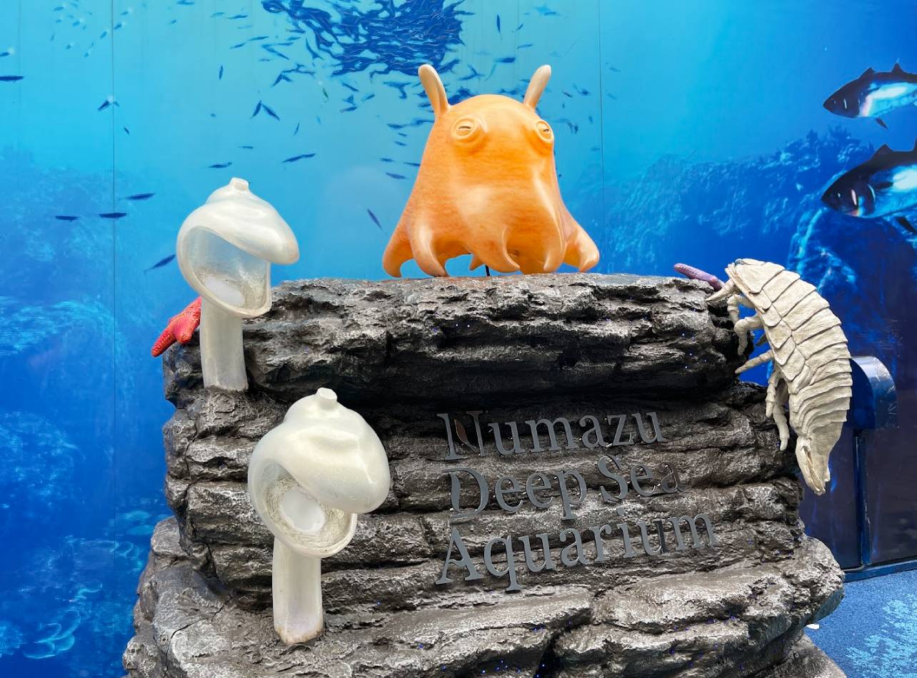 沼津港深海水族館フォトスポット