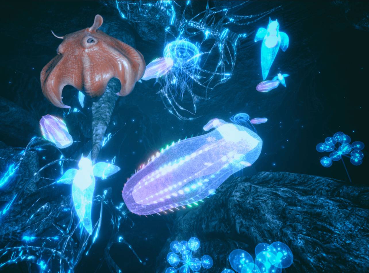 VR画面ファンシーな生き物