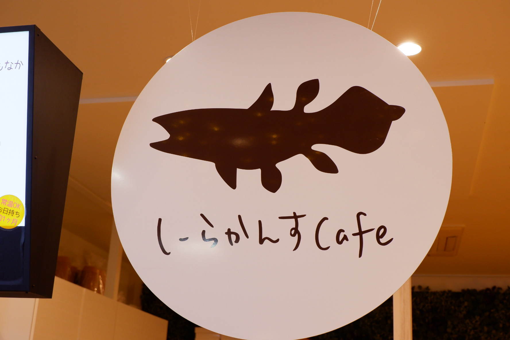 しーらかんすCafe2