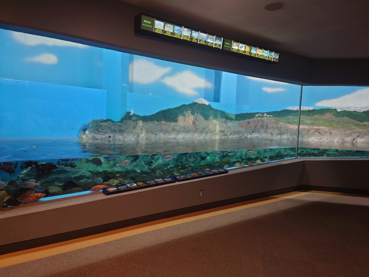 能登と海とエリア