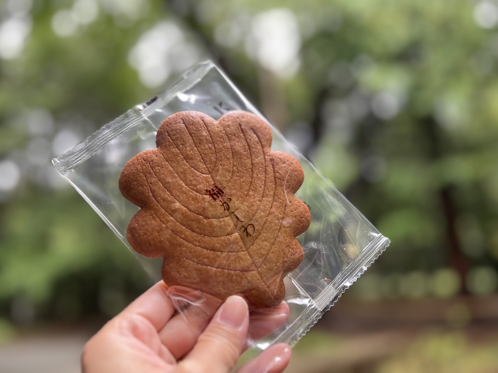 神宮茶屋福かしわ