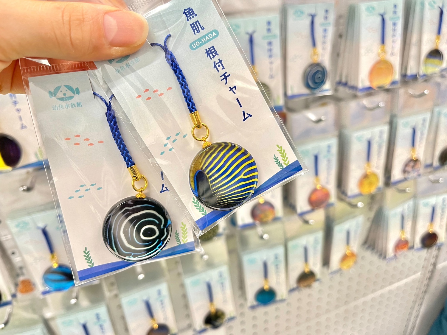 幼魚水族館12