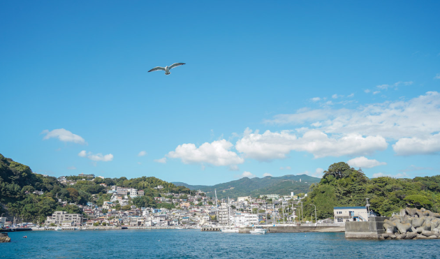 真鶴半島遊覧船