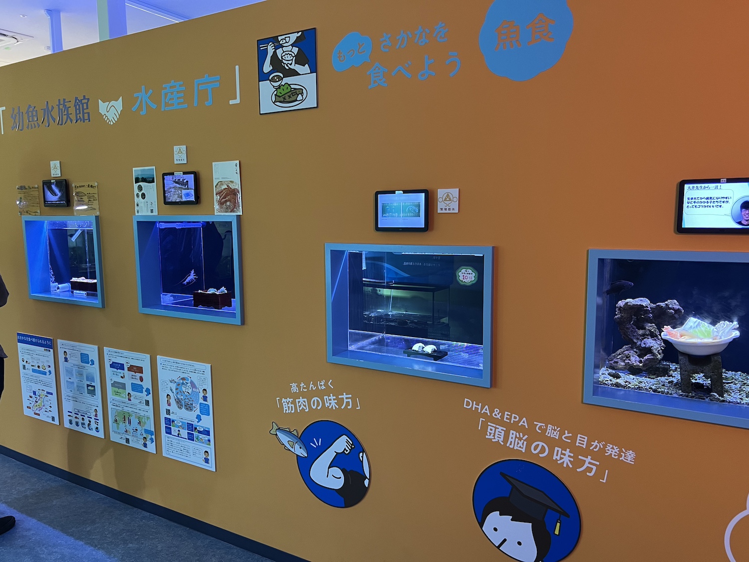 幼魚水族館8