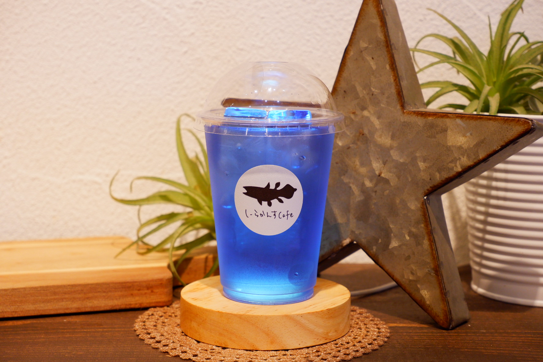 しーらかんすCafe6