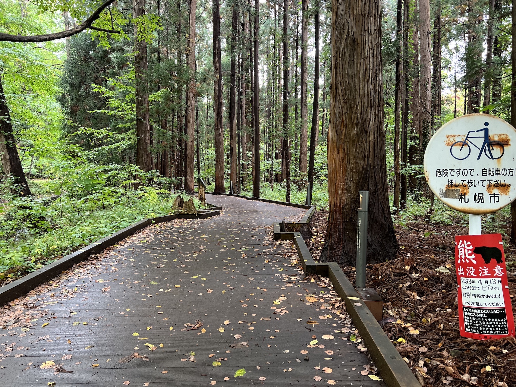 札幌円山公園林道