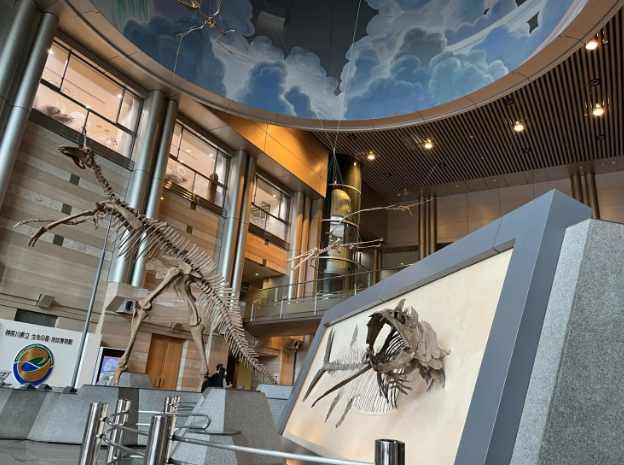 神奈川県立生命の星・地球博物館