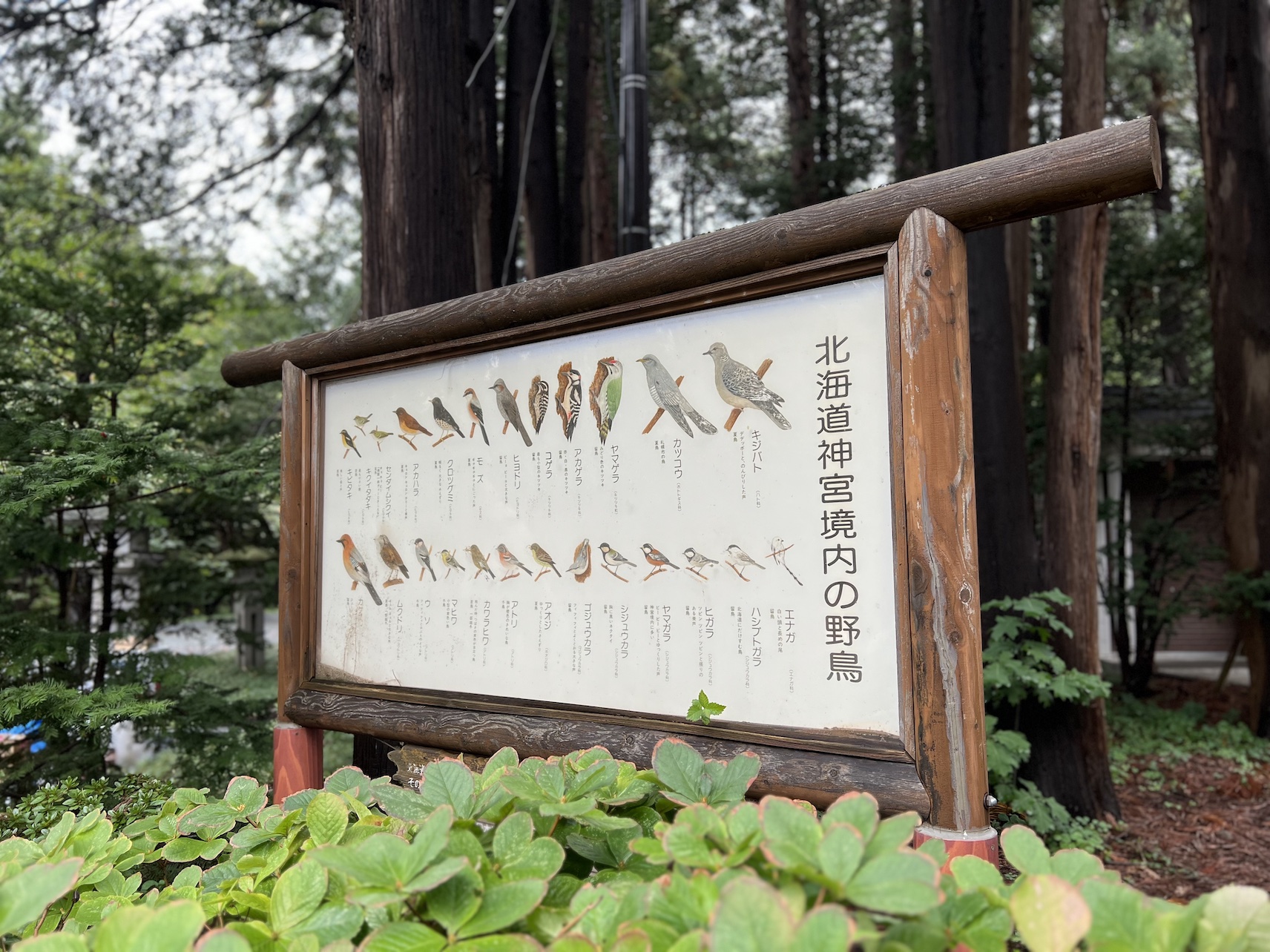 北海道神宮鳥の看板
