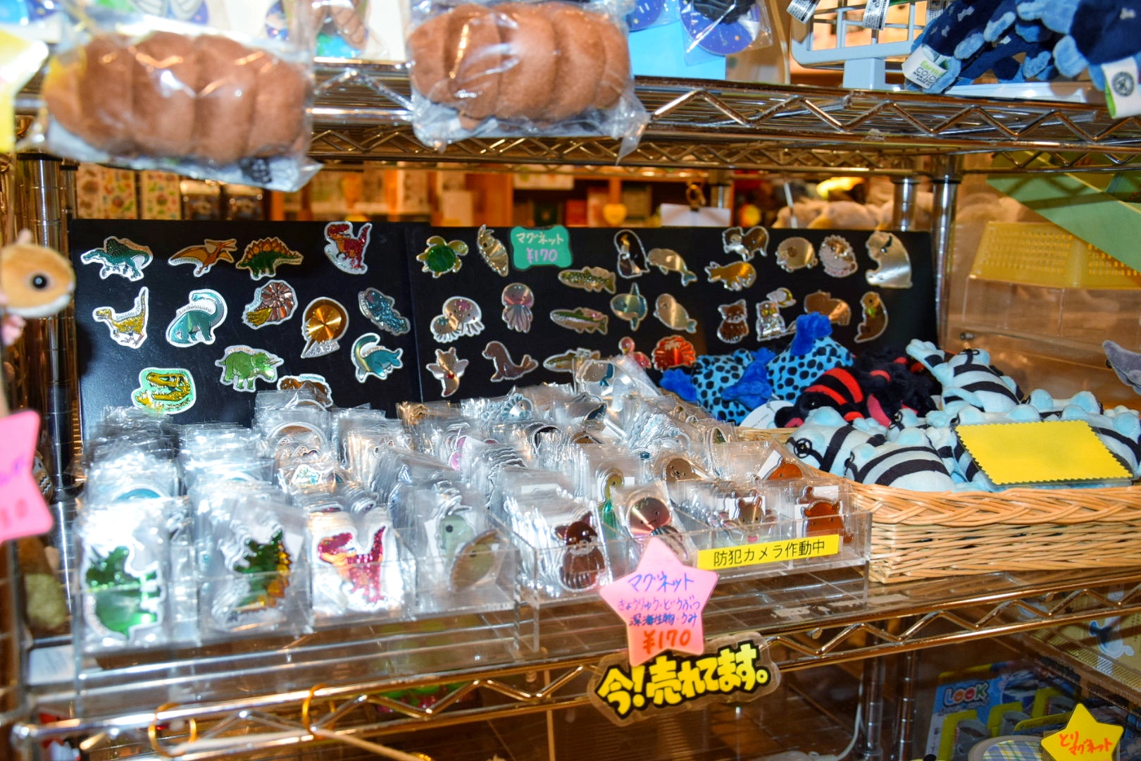 富岡市_群馬県立自然史博物館_マグネット