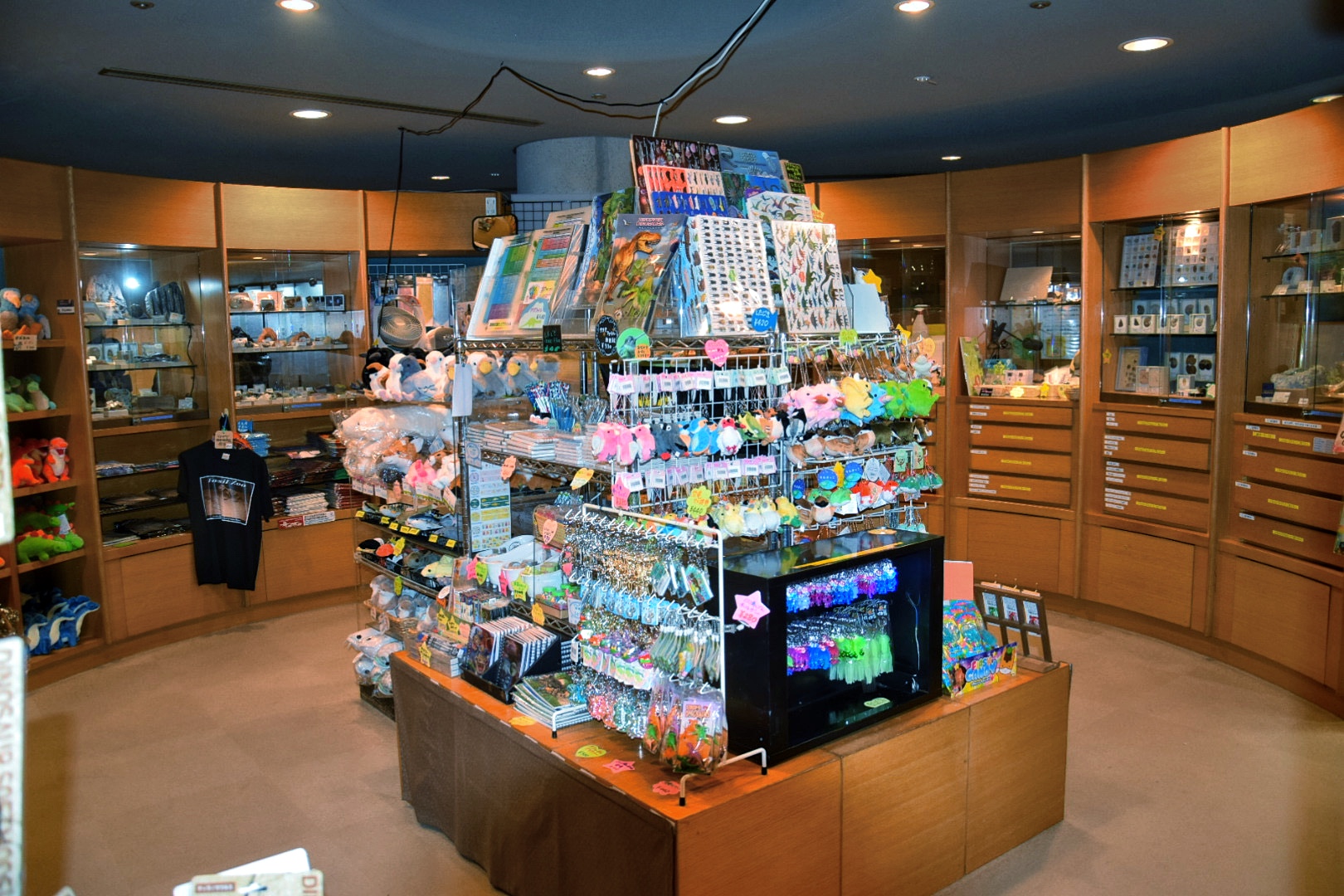 富岡市_群馬県立自然史博物館_ミュージアムショップ