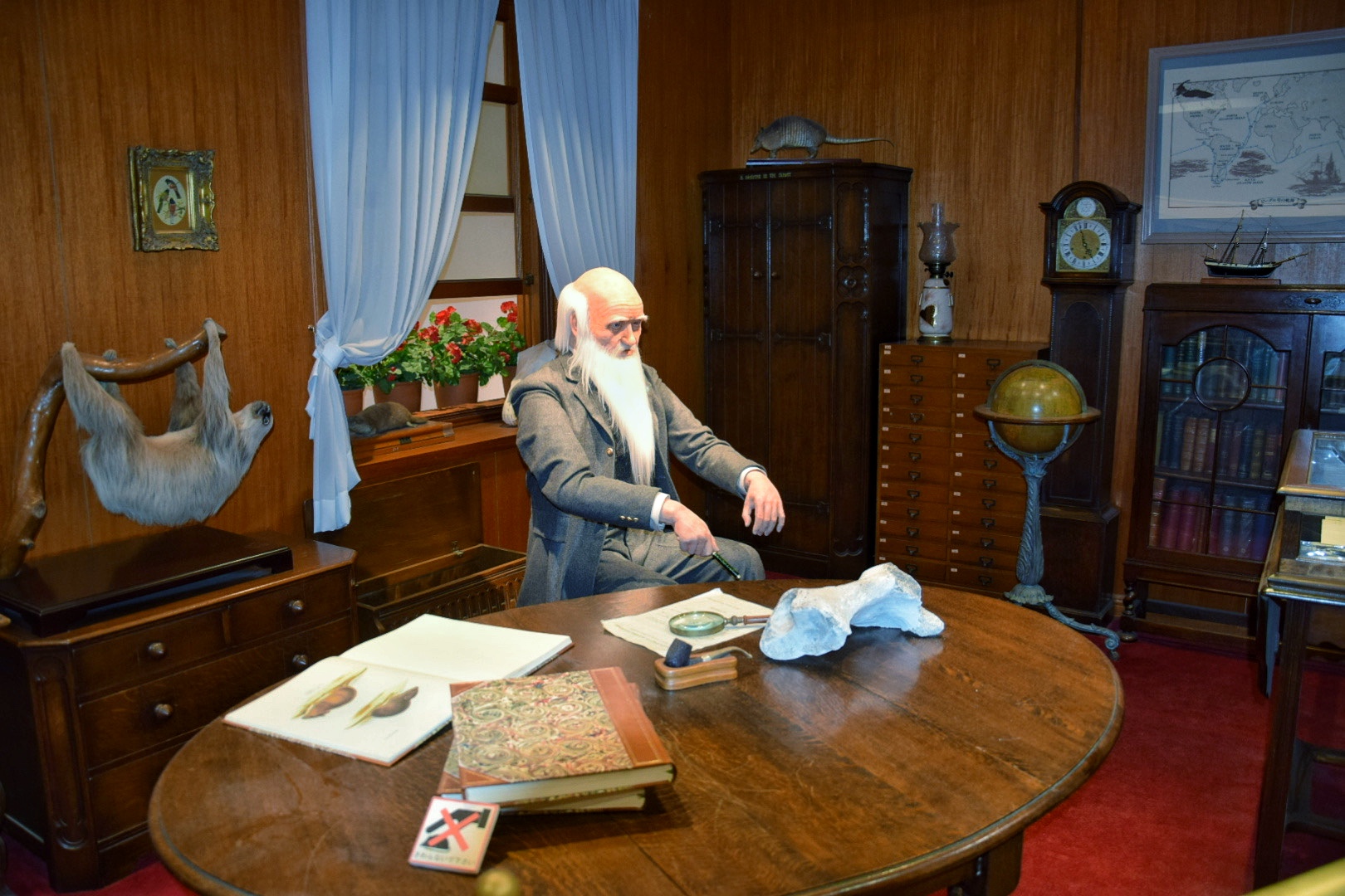 富岡市_群馬県立自然史博物館_ダーウィンの部屋_チャーリー博士