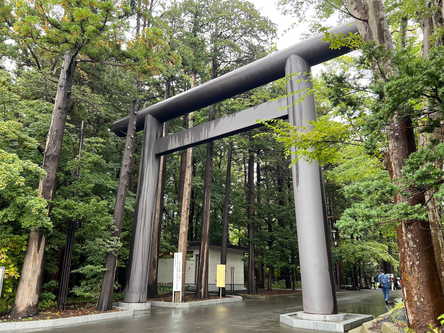 北海道神宮令和の鳥居