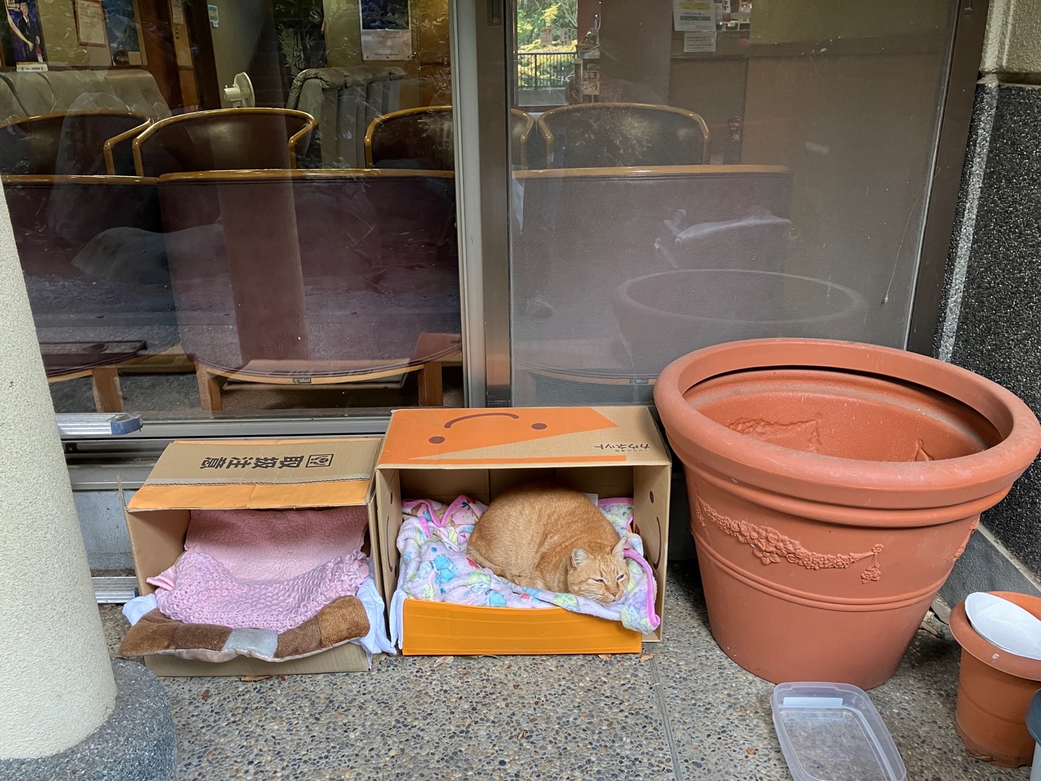 こごめの湯7