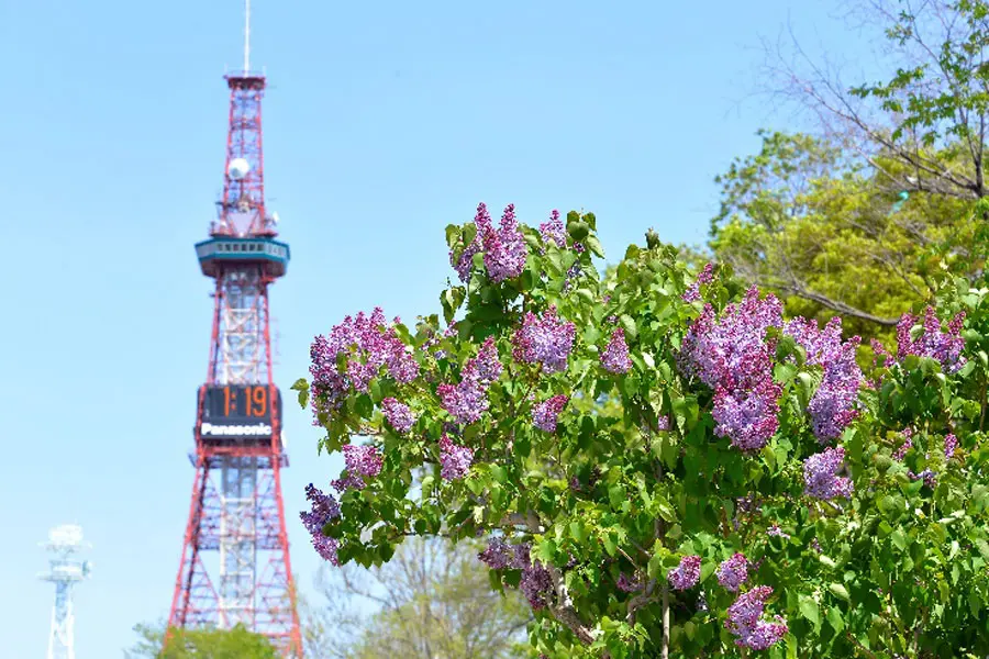 大通公園
