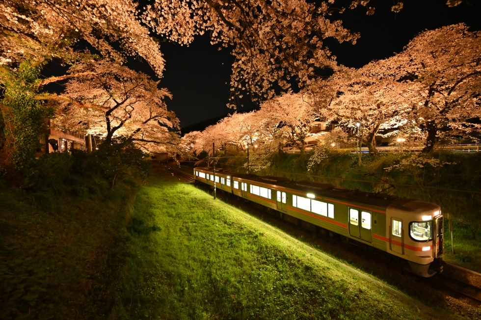 やまきた桜まつり