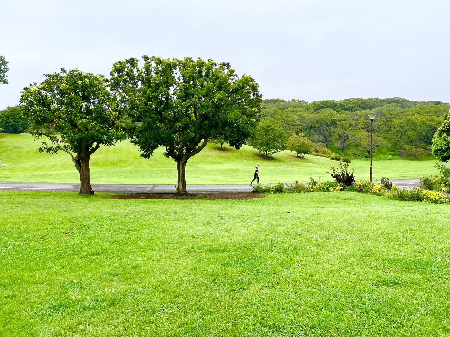 根岸森林公園