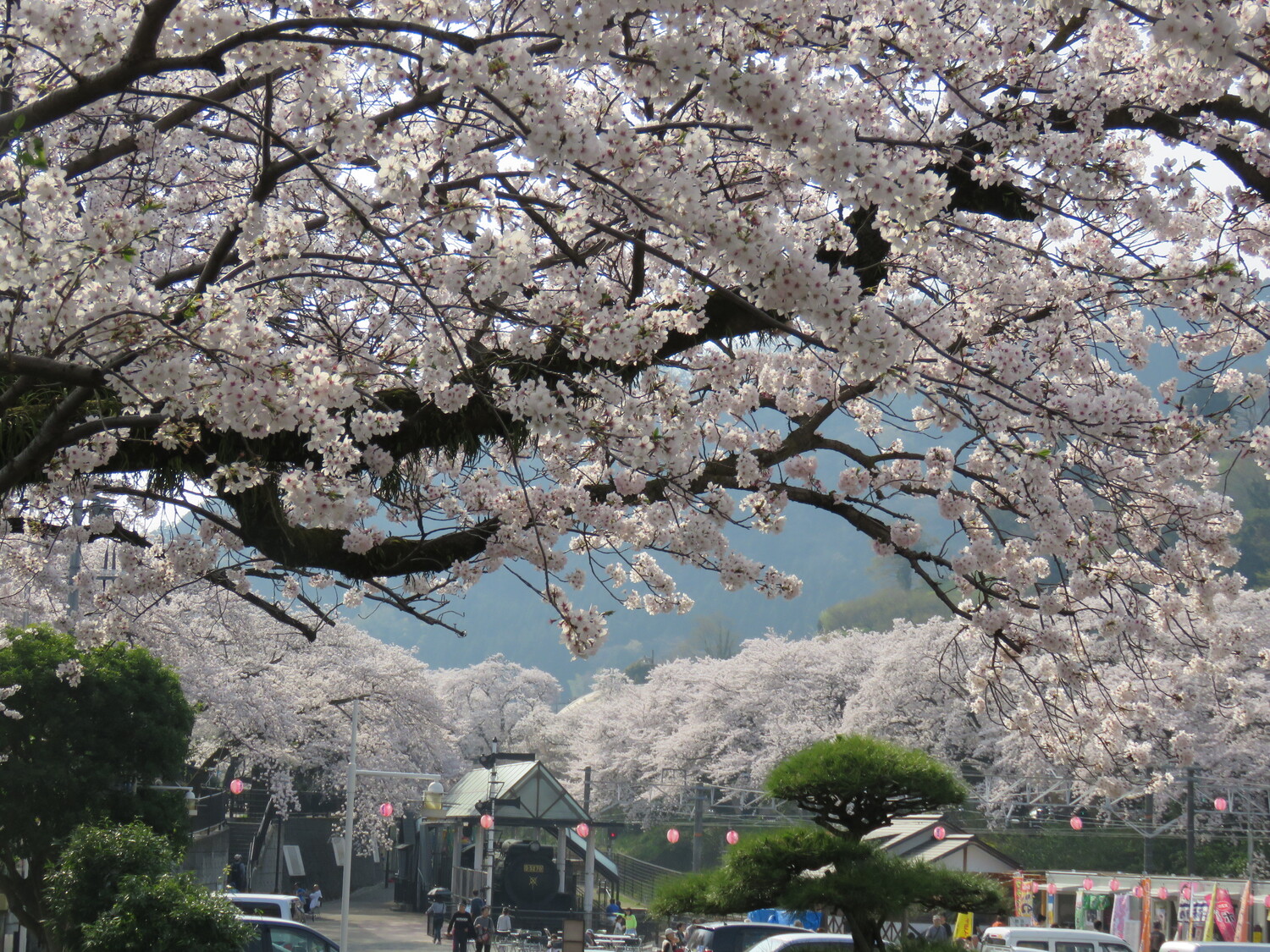 山北鉄道公園