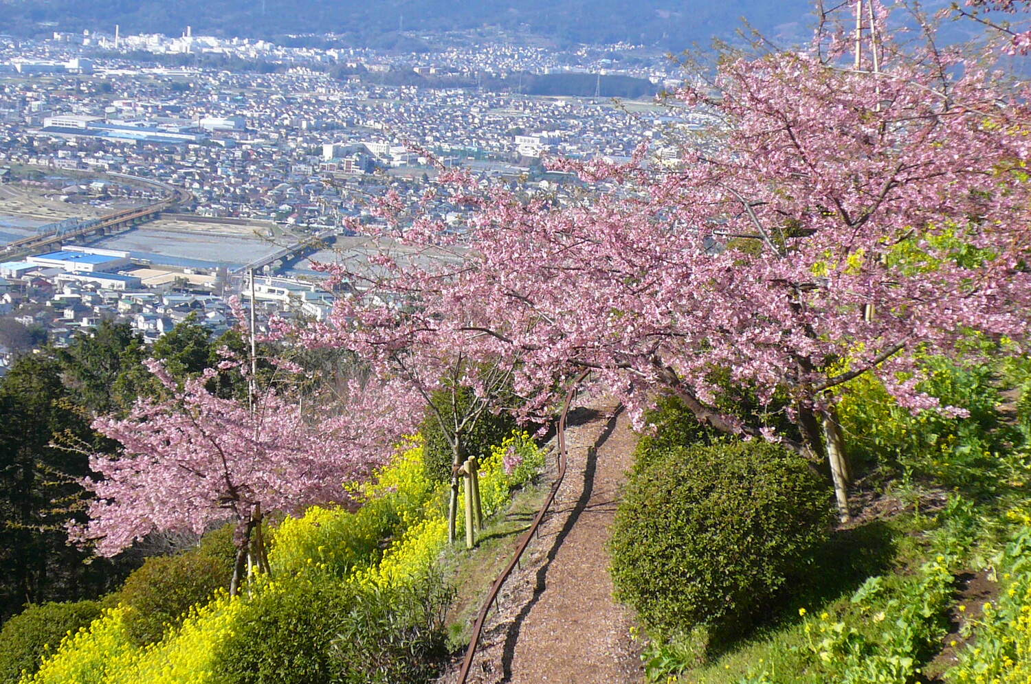 あぐりパーク嵯峨山苑